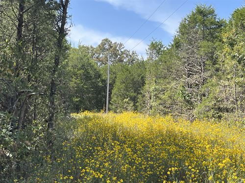 Build Home & Vacation Getaway in AR : Horseshoe Bend : Izard County : Arkansas