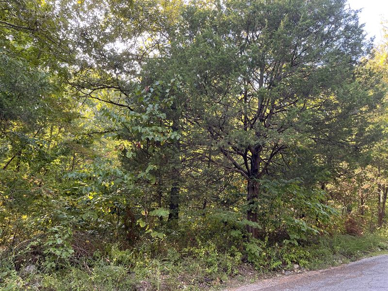 Lake-Area Lot with Utilities Nearby : Williford : Sharp County : Arkansas