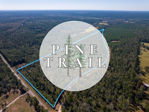5 Acres, T-9, Eldridge Road, Pin : Cleveland : San Jacinto County : Texas