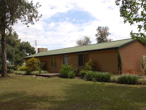 Certified Organic Blueberry Farm : Hawthorne : Alachua County : Florida