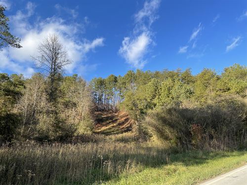12+ Acres Near Jasper & Ellijay : Talking Rock : Pickens County : Georgia