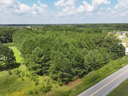 7.17 Acres in Greeleyville, SC : Greeleyville : Williamsburg County : South Carolina