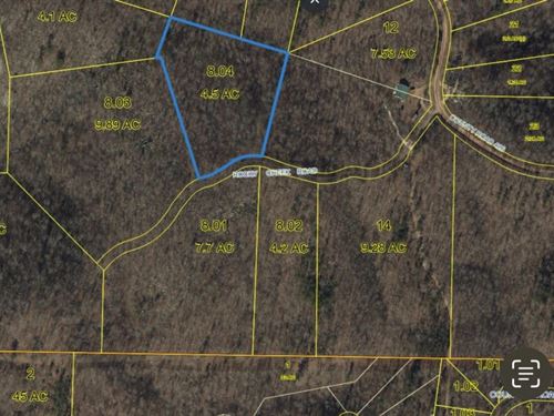 2 Beautiful Lots For Sale Near Clea : Annapolis : Iron County : Missouri