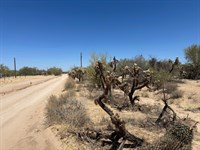 Room to Breathe, Space to Grow : Tucson : Pima County : Arizona