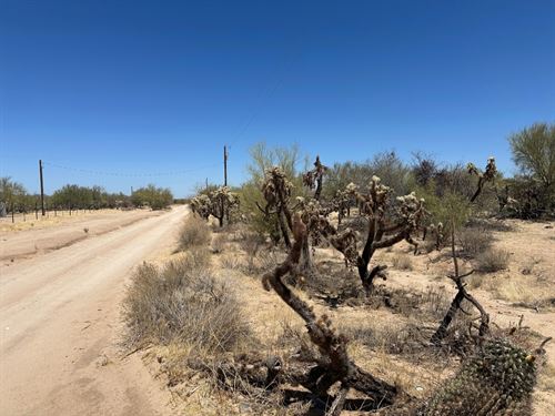 Room to Breathe, Space to Grow : Tucson : Pima County : Arizona