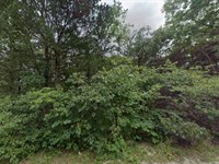 .37 Acres for Home or Retreat : Cherokee Village : Sharp County : Arkansas