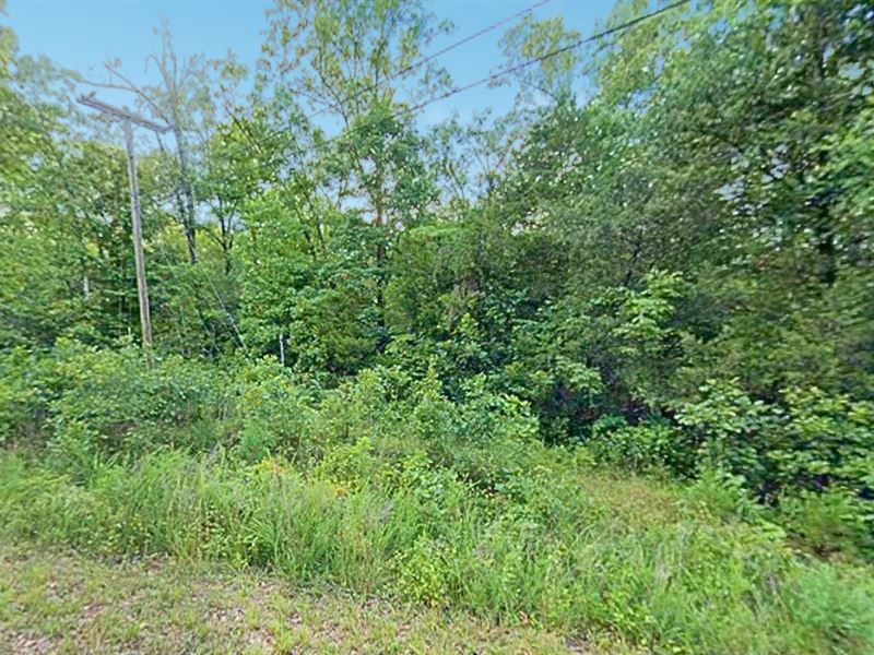 Wooded 0.43 Acres Lot : Cherokee Village : Sharp County : Arkansas