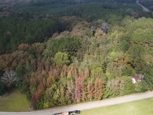 4.6 Acres Bordering Circle Bar Ranc : Foxworth : Marion County : Mississippi