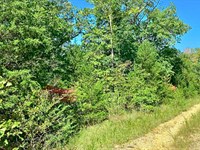 Affordable Lot Near Lake and Town : Horseshoe Bend : Izard County : Arkansas