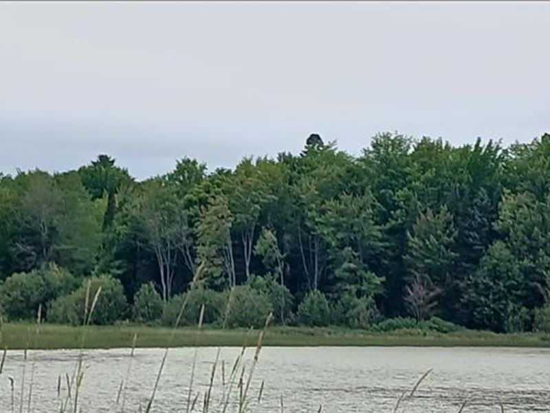 Private Lake Waterfront : Lake Linden : Houghton County : Michigan