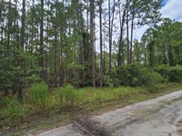 Sea Dueno DE un Terreno en Florida : Georgetown : Putnam County : Florida