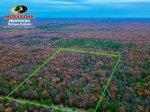 20 Acre Retreat / Manistee Coun : Free Soil : Manistee County : Michigan