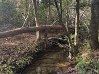 5 Acres Unrestricted With Year-Ro : Gruetli-Laager : Grundy County : Tennessee