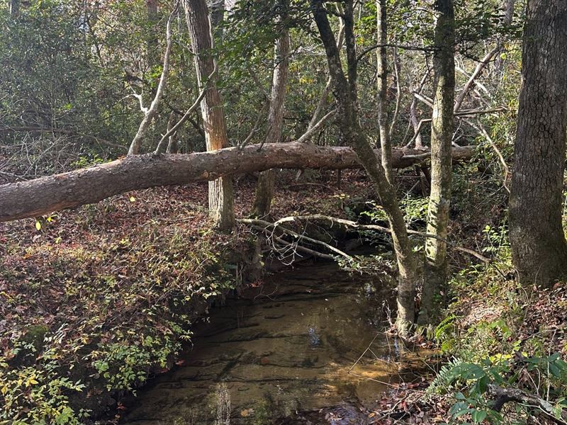 5 Acres Unrestricted with Year-Ro : Gruetli-Laager : Grundy County : Tennessee