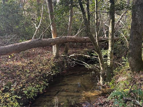 5 Acres Unrestricted With Year-Ro : Gruetli-Laager : Grundy County : Tennessee