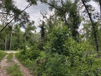 Build, Camp, or Stay Near The River : Live Oak : Suwannee County : Florida