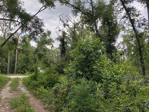 Build, Camp, or Stay Near The River : Live Oak : Suwannee County : Florida