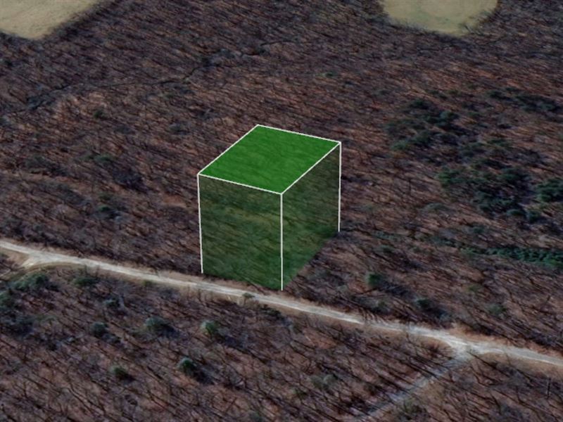 .26 Acre Lot in Crossville TN : Crossville : Cumberland County : Tennessee