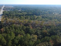 Commercial Opportunity in Ludowici : Ludowici : Long County : Georgia