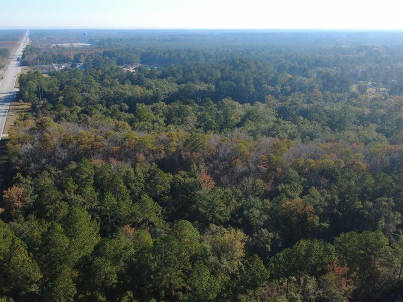 Commercial Opportunity in Ludowici : Ludowici : Long County : Georgia