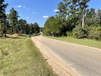Bridlepath Road Estate Lot Homesite : Jackson : Clarke County : Alabama