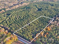 7 Acre Wooded Homesite in Oak Bowe : Lafayette : Chambers County : Alabama