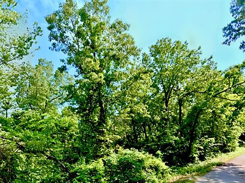 Power Nearby, and Affordable : Horseshoe Bend : Izard County : Arkansas