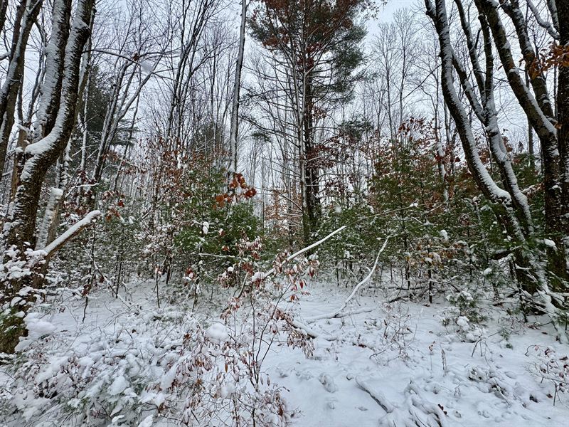 Oneida Lake Getaway Building Lot : Vienna : Oneida County : New York