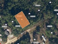 .22 Acres in Interlachen Lakes : Interlachen : Putnam County : Florida