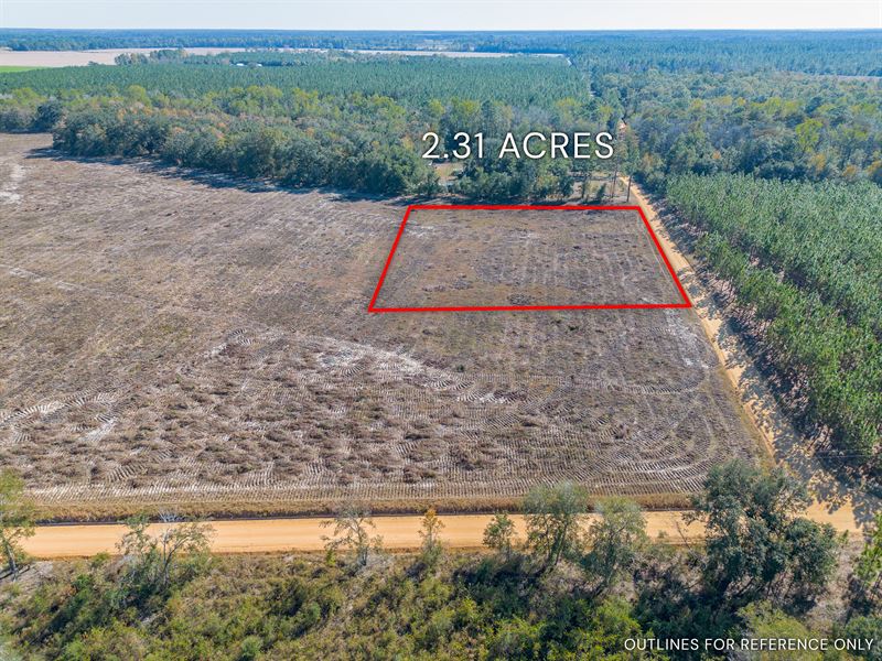 Tract 5 in Pinecone Trail, Mershon : Mershon : Pierce County : Georgia