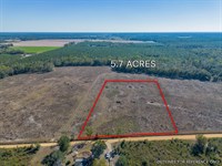 Tract 7 in Pinecone Trail, Mershon : Mershon : Pierce County : Georgia