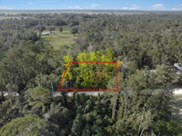 Build or Camp Near Suwannee River : Live Oak : Suwannee County : Florida