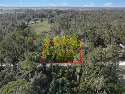 Build or Camp Near Suwannee River : Live Oak : Suwannee County : Florida