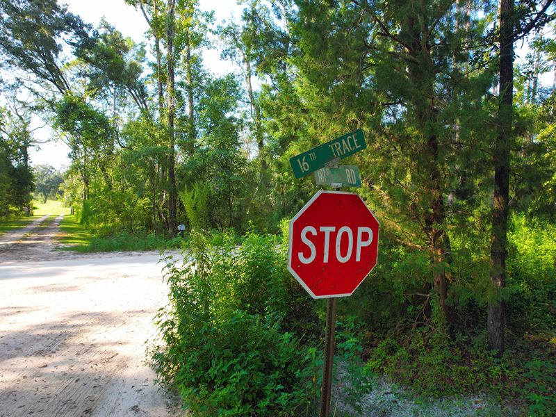 Build or Camp Near Suwannee River : Live Oak : Suwannee County : Florida