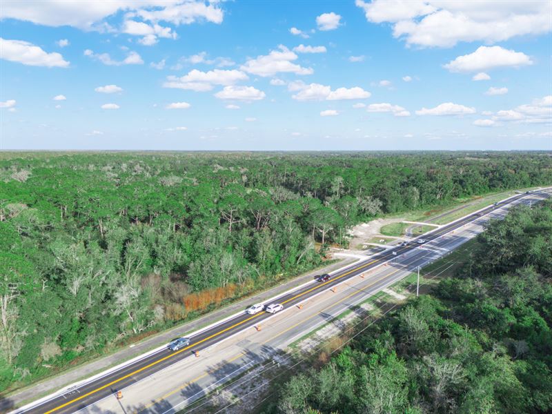 US Highway 98 Frontage Land : Lakeland : Polk County : Florida