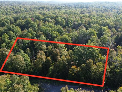 Two Adjacent Lots Near Diamond Lake : Horseshoe Bend : Izard County : Arkansas