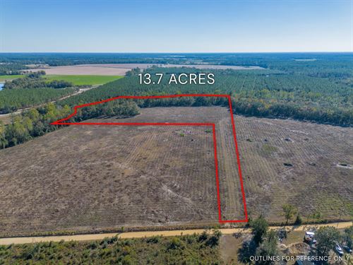 Tract 11 in Pinecone Trail, Mershon : Mershon : Pierce County : Georgia