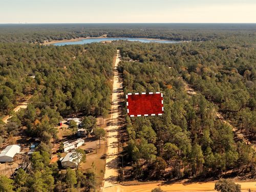 .45 Acres Near Beautiful Lake : Interlachen : Putnam County : Florida