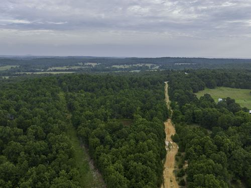 Close-To-Road Lot in Horseshoe Bend : Horseshoe Bend : Izard County : Arkansas