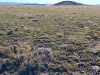 Build Your Dream Home : Concho : Apache County : Arizona