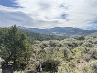 Treed Lot with Mountain Views : Fort Garland : Costilla County : Colorado