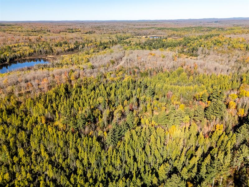 Building Site Near Long Lake : Oma : Iron County : Wisconsin