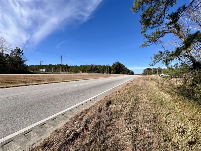 Mt. Vernon Highway-43 Wooded Lot : Mount Vernon : Mobile County : Alabama