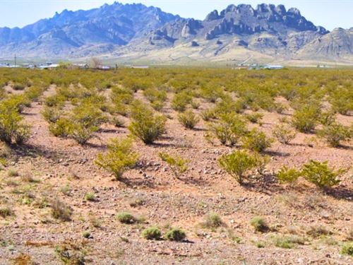 Mountain Views Close to Deming : Deming : Luna County : New Mexico