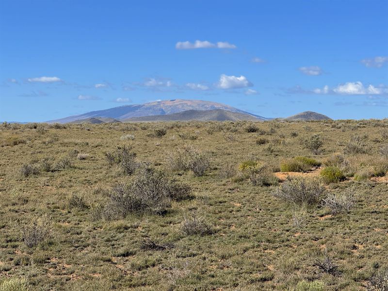 Adventure-Ready with Mountain Views : Costilla : Costilla County : Colorado