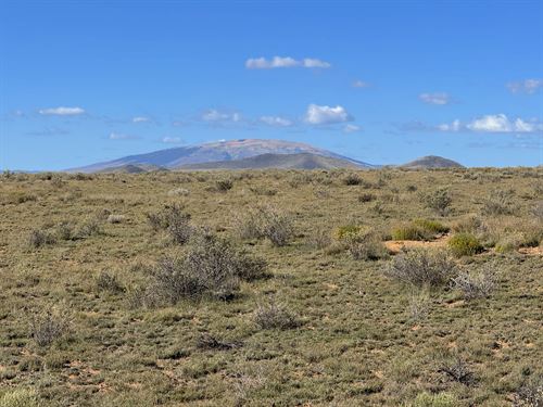 Adventure-Ready with Mountain Views : Costilla : Colorado