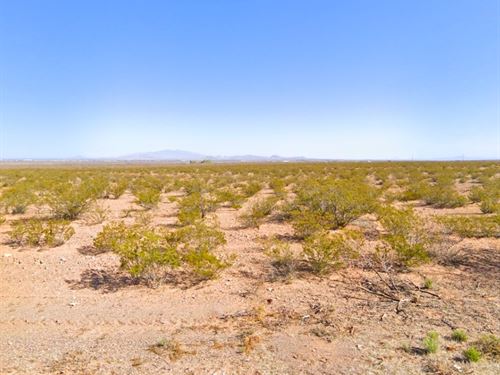 Peaceful Lot Mins to Deming : Deming : Luna County : New Mexico