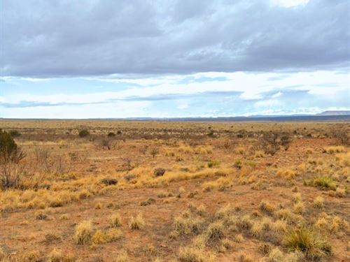 Scenic Escape Near Conchas : Conchas Dam : San Miguel County : New Mexico