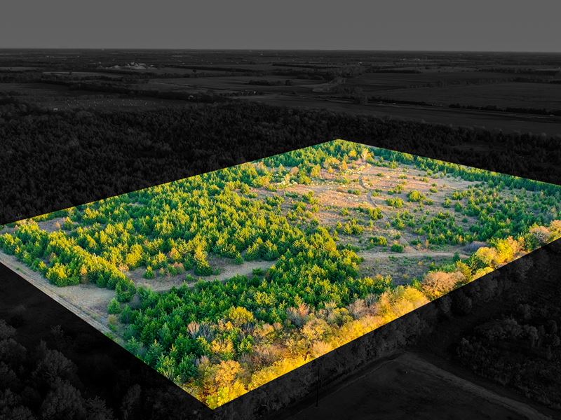 Lamar County Acreage for Sale Paris : Paris : Lamar County : Texas