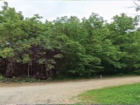 Fantastic 0.15 Acre in Sharp, AR : Williford : Sharp County : Arkansas